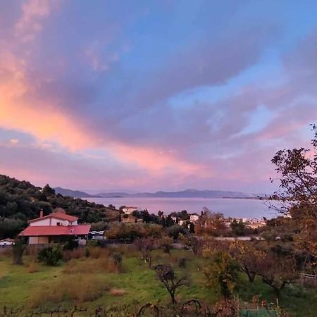 Ολόκληρος Όροφος Αγροτική Οικία Daire Néos Pírgos Dış mekan fotoğraf