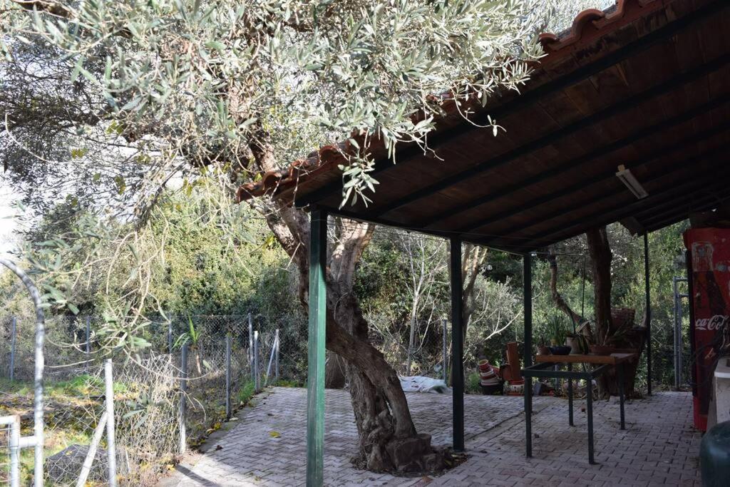 Ολόκληρος Όροφος Αγροτική Οικία Daire Néos Pírgos Dış mekan fotoğraf
