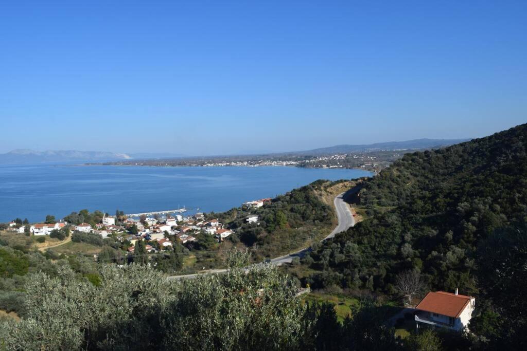 Ολόκληρος Όροφος Αγροτική Οικία Daire Néos Pírgos Dış mekan fotoğraf