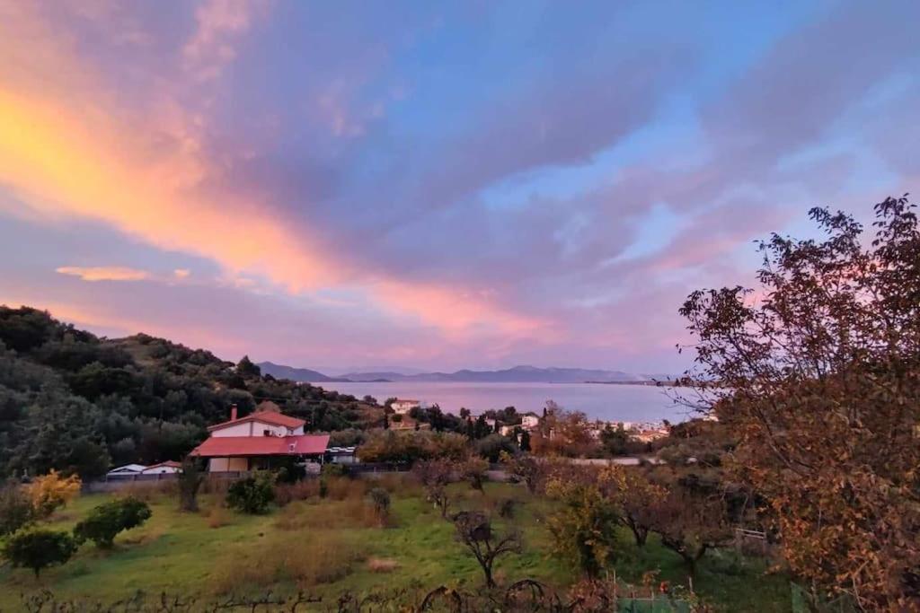 Ολόκληρος Όροφος Αγροτική Οικία Daire Néos Pírgos Dış mekan fotoğraf